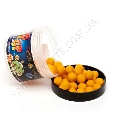 POP UPS CLASSIC \\"Tiger nut\\"