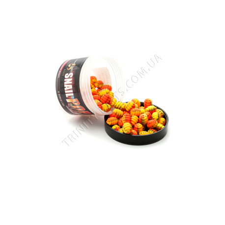 POP UPS SNAIL MANDARIN 5*8