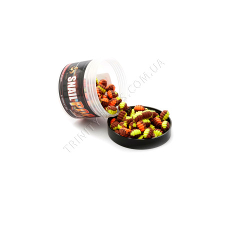 POP UPS SNAIL MUSSEL 5*8