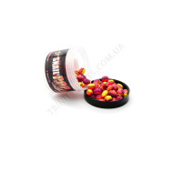 POP UPS SNAIL TUTTI FRUTTI 5*8