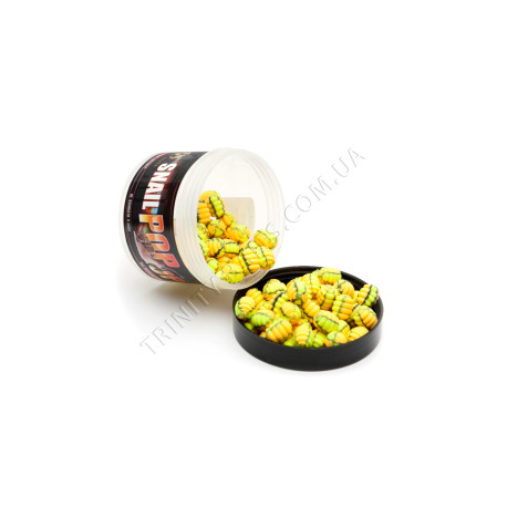 POP UPS SNAIL CORN-TIGER NUT 5*8